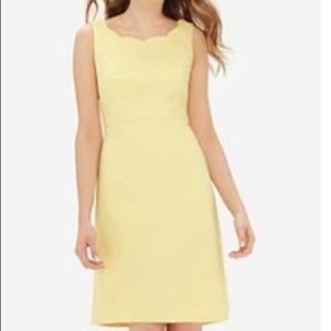 NWT Scallop Neck Dress